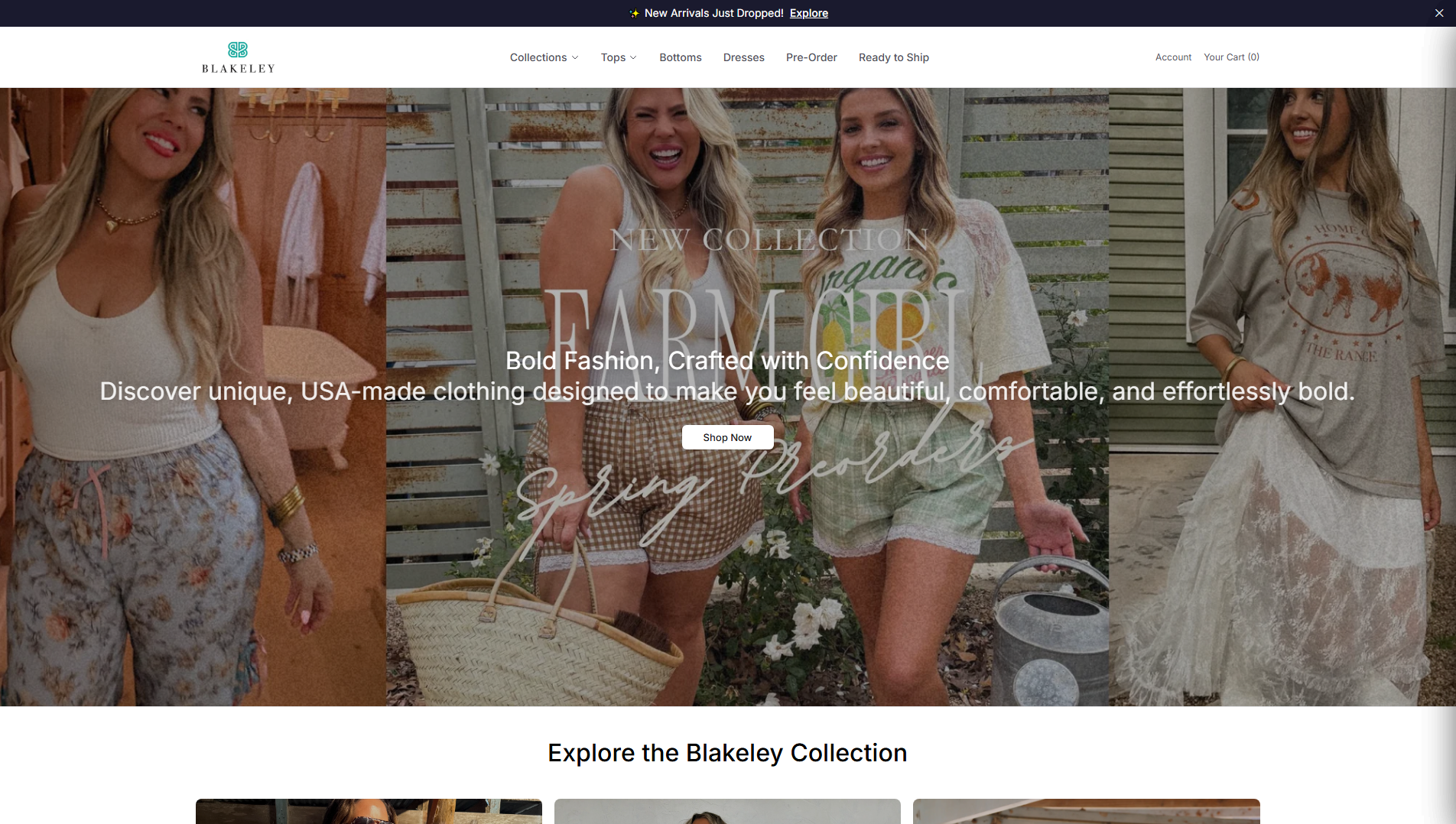Stored capture of blakeley.shop