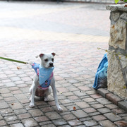 IMG-1925