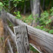 DSC 9085