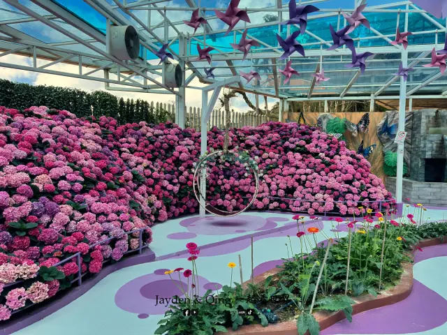 Agro Market10.webp