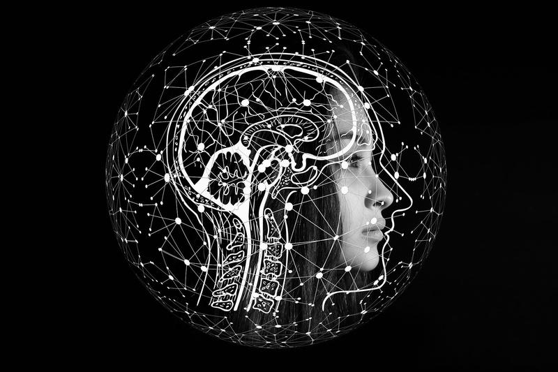 AI Sentiment Analysis: How to Read the Market Before It Moves