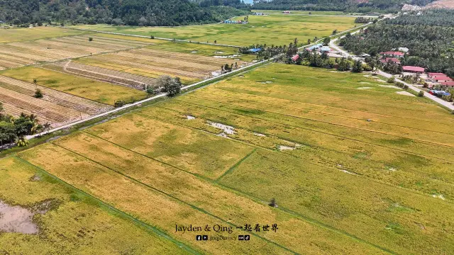 Sawah Air Papan2.webp