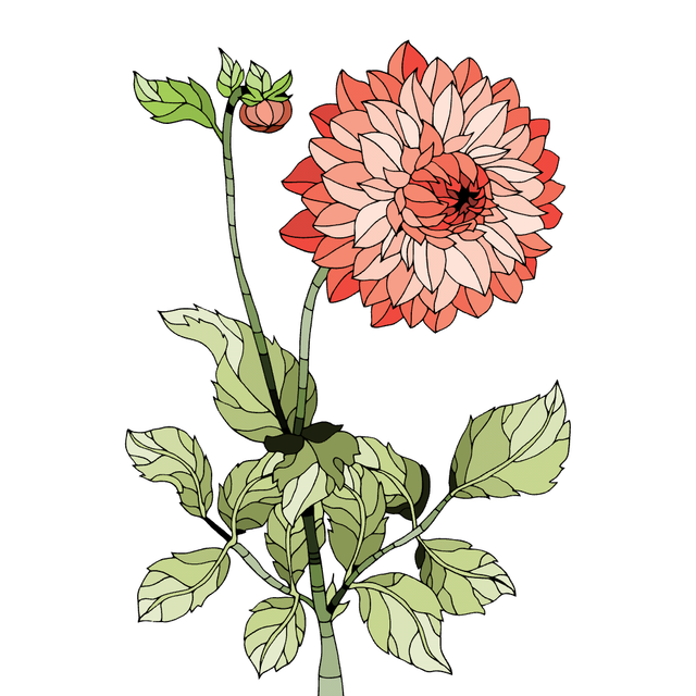 d966e692ff9bdfa0f4fe22cc4d49818d.png