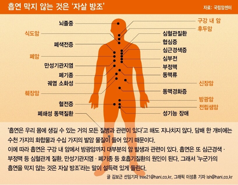 흡연