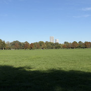 IMG-0633