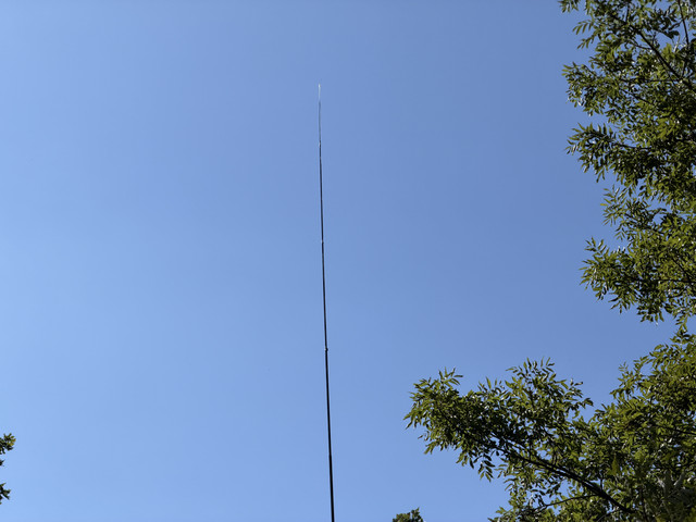 IMG 3474.jpg