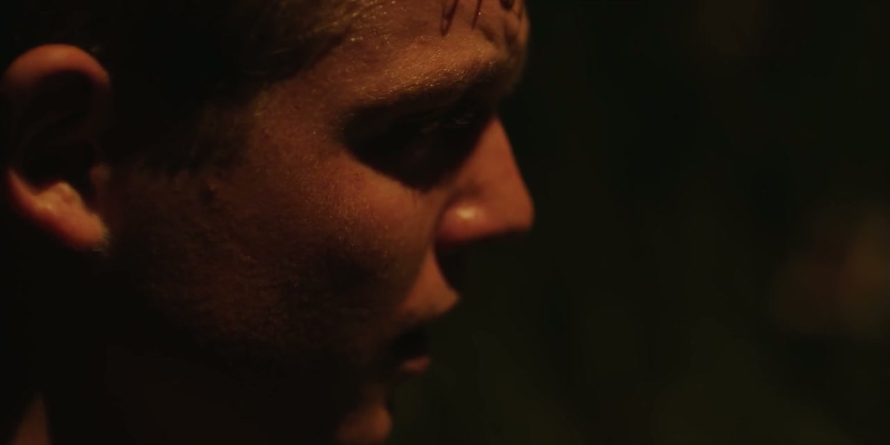 Canopy Screenshot
