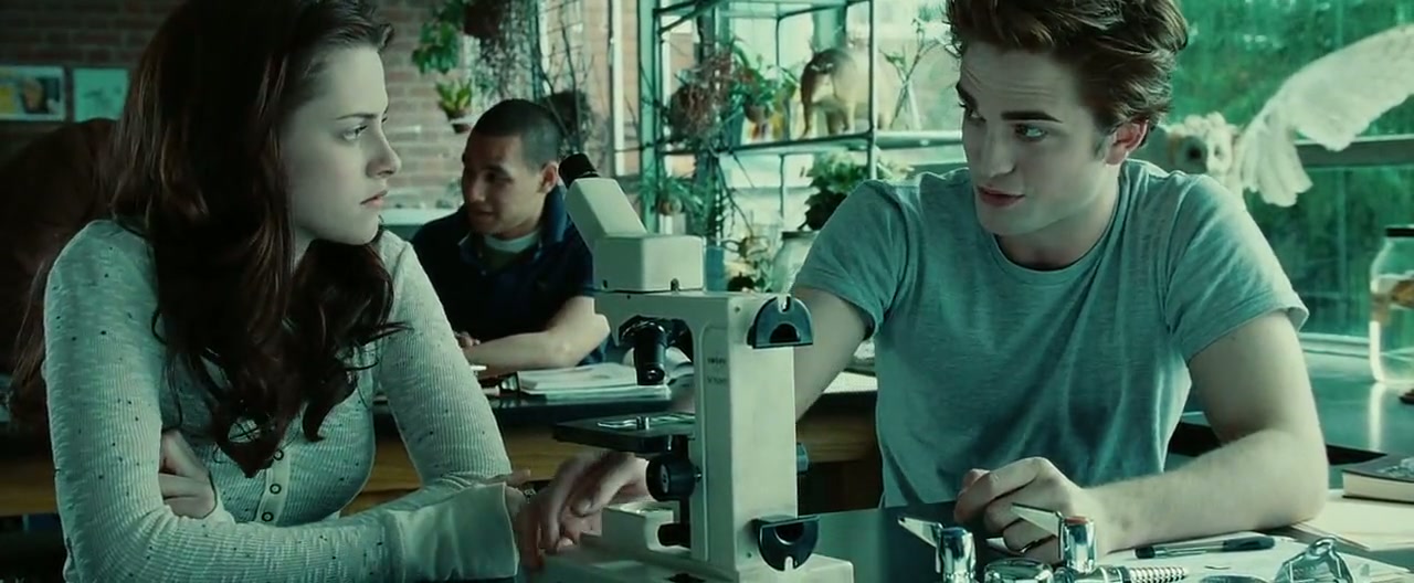 Twilight Screenshot