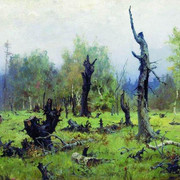 Горелый лес 1881