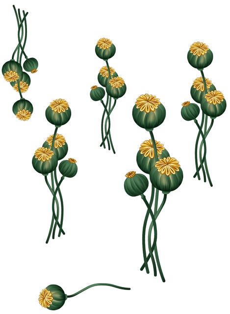 ce9aeca4be88f08077e9671e7e219f2e.png