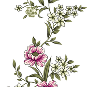 1c8905fd48dd91e452e1f04977ebb5ff