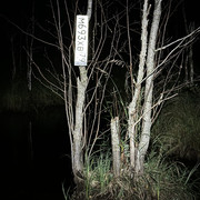 IMG 5664