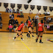 IMG-0037