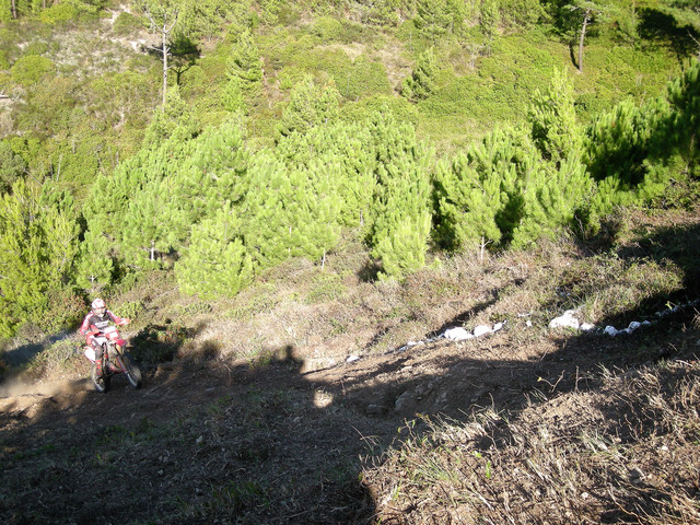 DSCN1235-copia.jpg