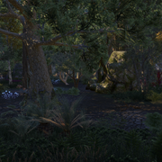 Screenshot-20210202-200430