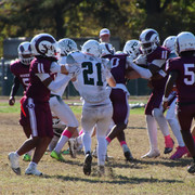 IMG-4441