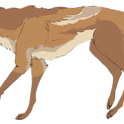 Terwyn-Ref2
