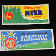 IMG-7037