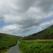DSCF9096