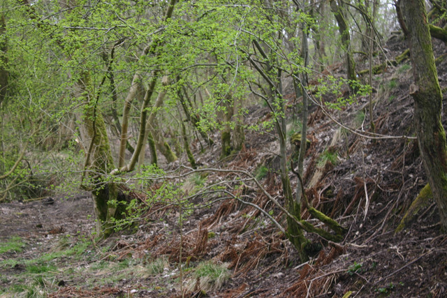 IMG-0129