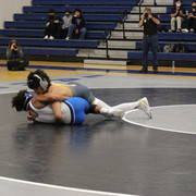 IMG-0425
