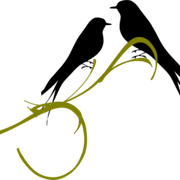 Love-Birds-PNG-HD