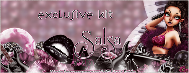 Salsa-BD13-Coupon-Exclusive-Kit