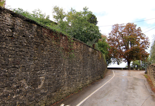 IMG-9585.jpg