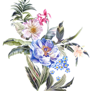 shutterstock 741892219 Copy copy