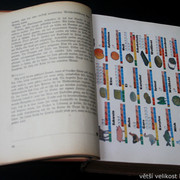 IMG-2124