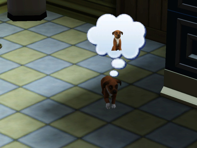 Screenshot-16