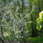 DSC03641-1