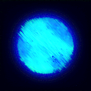 IMG-2328.gif