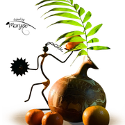 MR-Still-Life-250212
