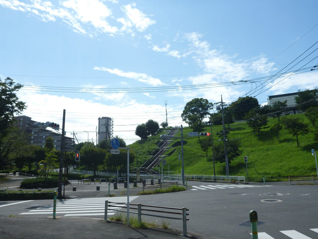 P1350284