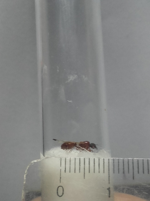 20190113-214727