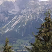 IMG 20260811 095409