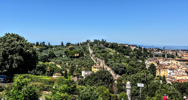 IMG-6035