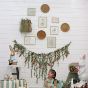 IMG-6565