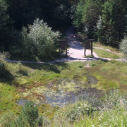 IMG 0344