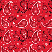Paisley Pattern Design 01