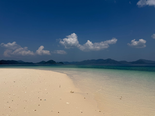 IMG 0095.jpg