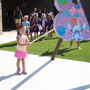IMG-9503