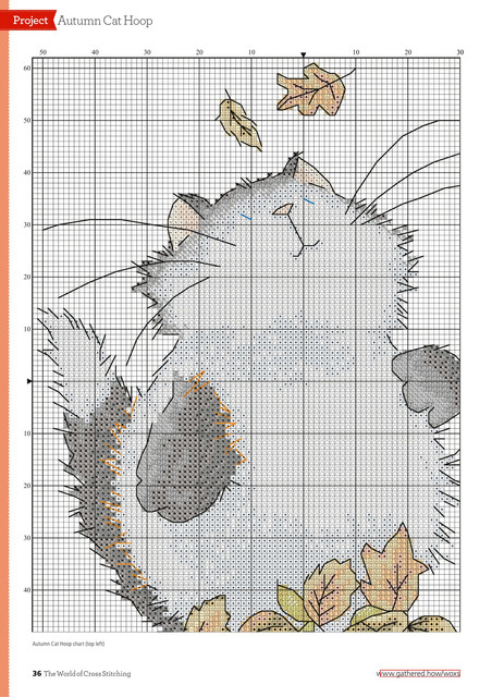 0036