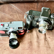 IMG 4845