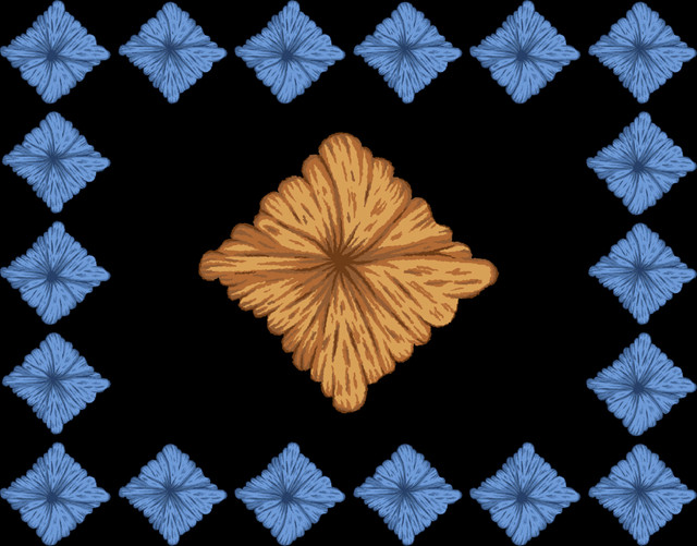 shutterstock 2136355241.jpg