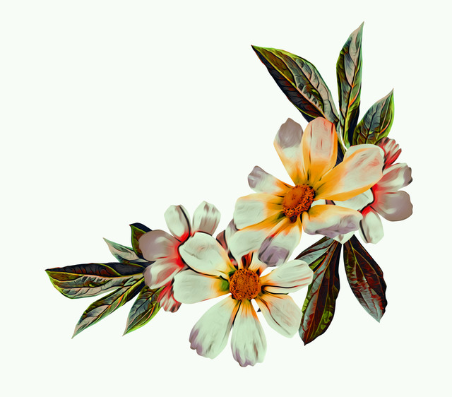 shutterstock 1361190902.jpg