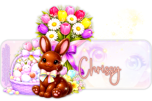 Chrissy 91ºBanner.png