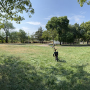 IMG 7977