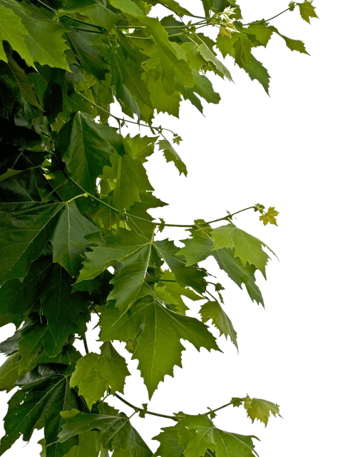 580b585b2edbce24c47b26d3.png